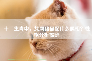 十二生肖中，女属猪最配什么属相？性格分析揭晓