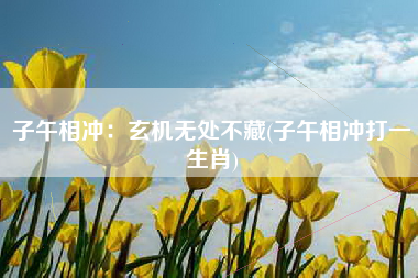 子午相冲：玄机无处不藏(子午相冲打一生肖)