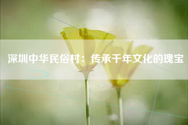 深圳中华民俗村：传承千年文化的瑰宝