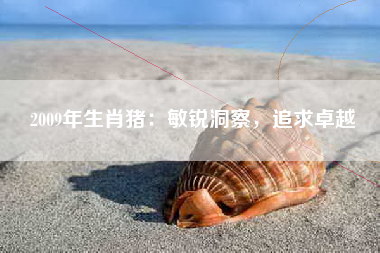 2009年生肖猪：敏锐洞察，追求卓越