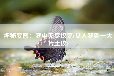 神秘墓园：梦中无尽坟墓(女人梦到一大片土坟)