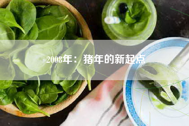 2008年：猪年的新起点