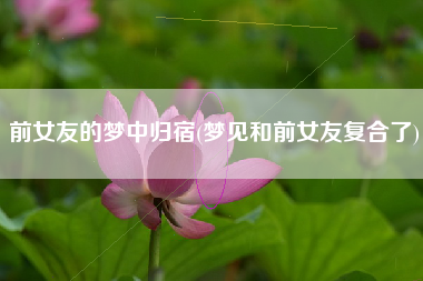 前女友的梦中归宿(梦见和前女友复合了)