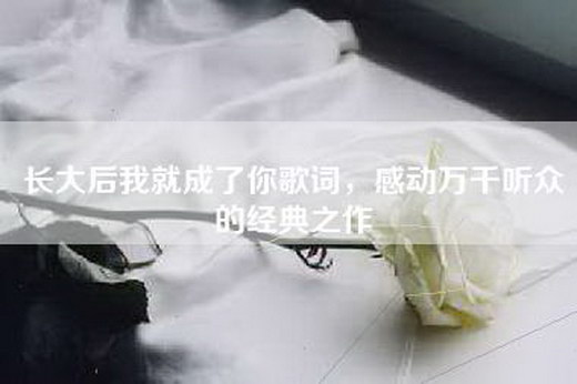 长大后我就成了你歌词,感动万千听众的经典之作