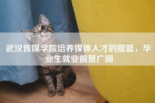 武汉传媒学院培养媒体人才的摇篮，毕业生就业前景广阔