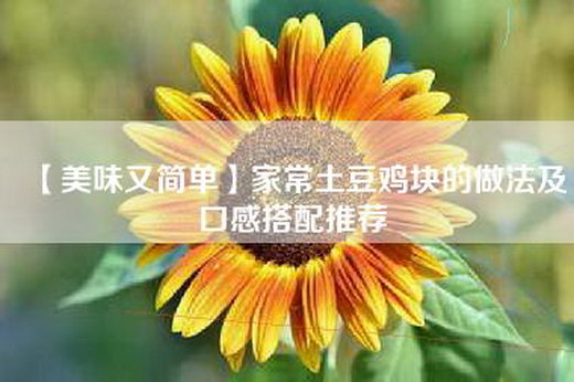 【美味又简单】家常土豆鸡块的做法及口感搭配推荐