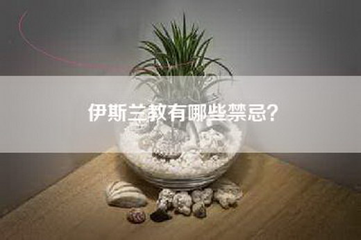 伊斯兰教有哪些禁忌?