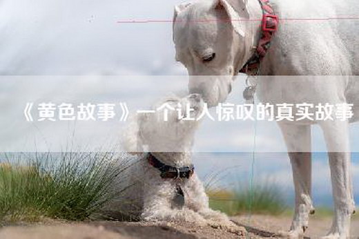《黄色故事》一个让人惊叹的真实故事