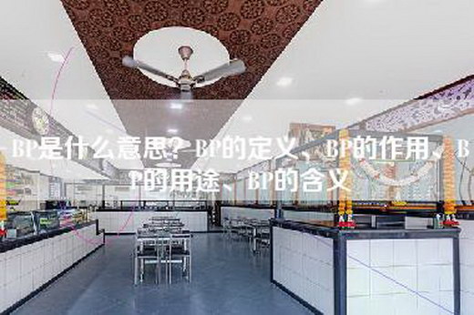 BP是什么意思?BP的定义、BP的作用、BP的用途、BP的含义