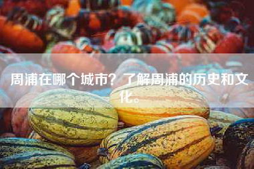 周浦在哪个城市？了解周浦的历史和文化。