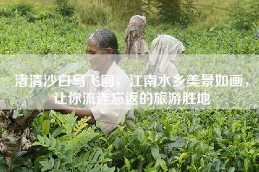 渚清沙白鸟飞回，江南水乡美景如画，让你流连忘返的旅游胜地