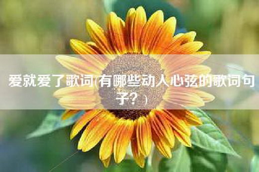 爱就爱了歌词(有哪些动人心弦的歌词句子？)