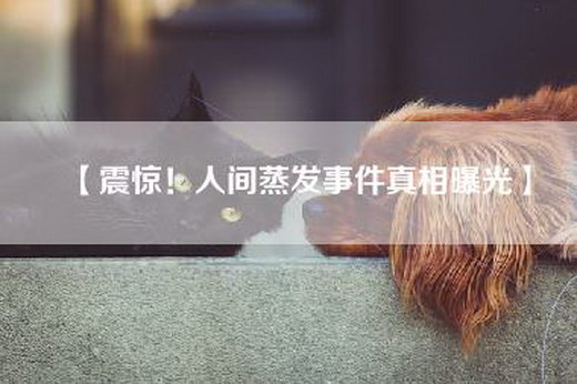 【震惊！人间蒸发事件真相曝光】