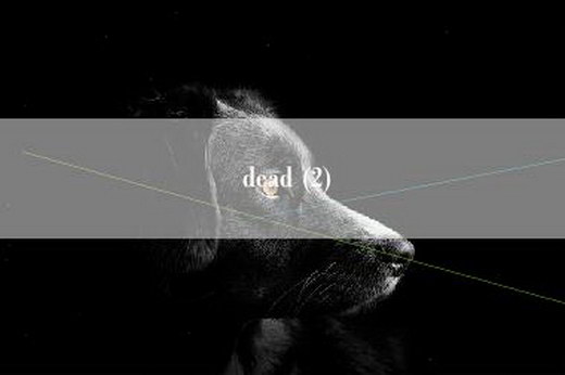 dead (2)