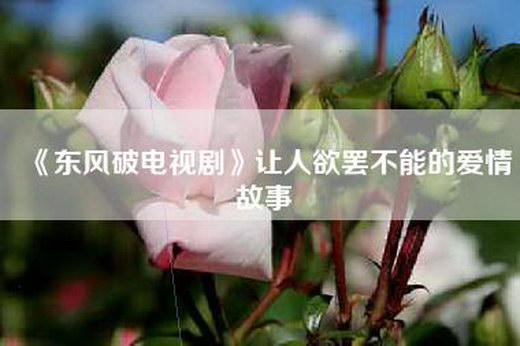 《东风破电视剧》让人欲罢不能的爱情故事