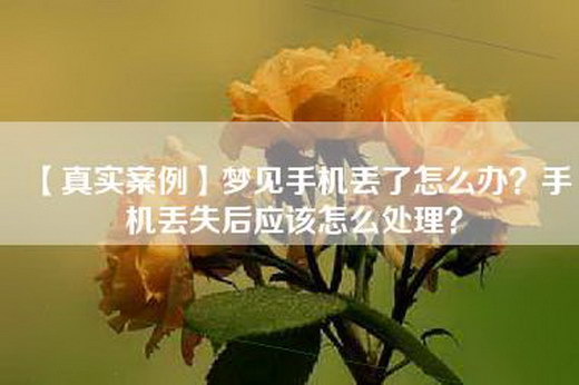 【真实案例】梦见手机丢了怎么办？手机丢失后应该怎么处理？