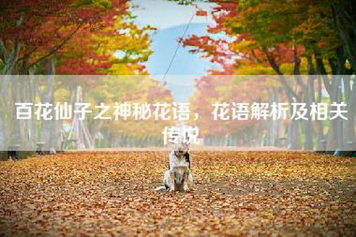 百花仙子之神秘花语，花语解析及相关传说