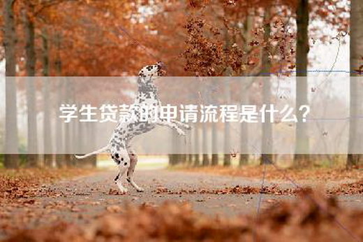 学生贷款的申请流程是什么？