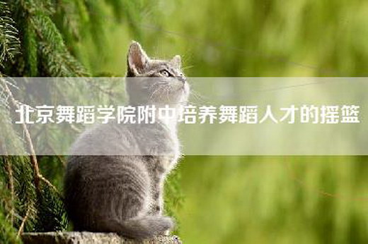 北京舞蹈学院附中培养舞蹈人才的摇篮