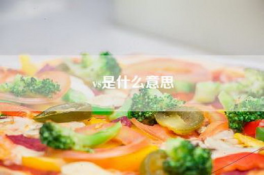 vs是什么意思