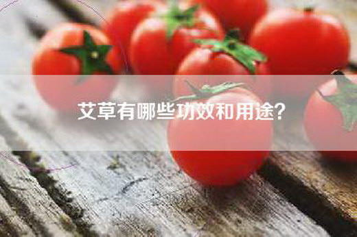 艾草有哪些功效和用途？