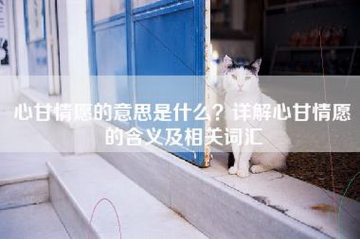 心甘情愿的意思是什么？详解心甘情愿的含义及相关词汇