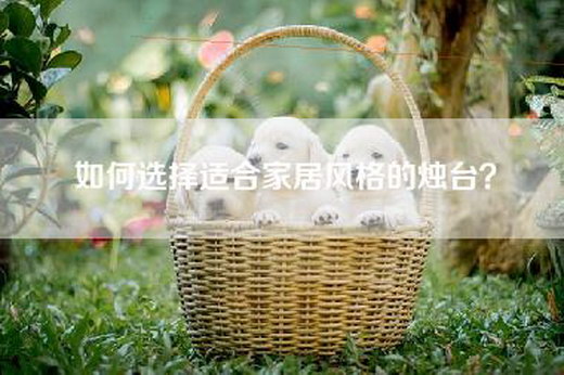 如何选择适合家居风格的烛台？