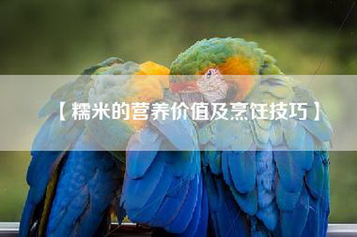 【糯米的营养价值及烹饪技巧】