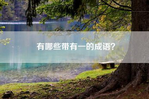 有哪些带有一的成语？