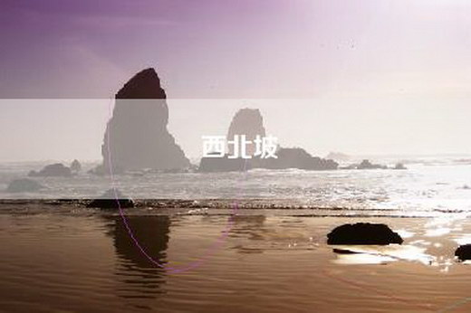 西北坡