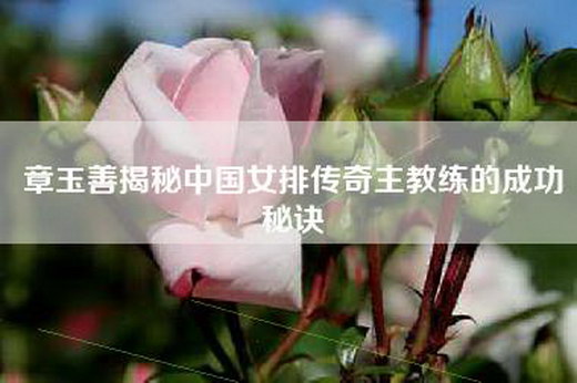 章玉善揭秘中国女排传奇主教练的成功秘诀
