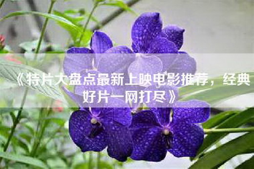 《特片大盘点最新上映电影推荐，经典好片一网打尽》