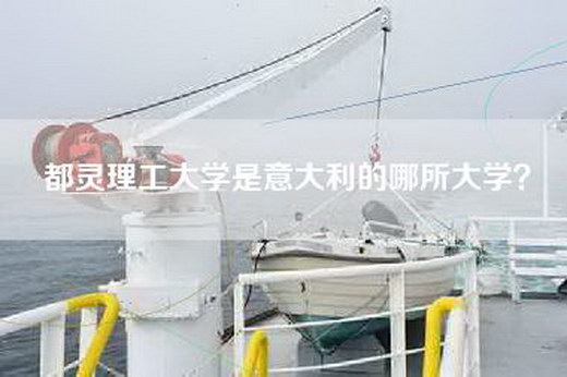 都灵理工大学是意大利的哪所大学？