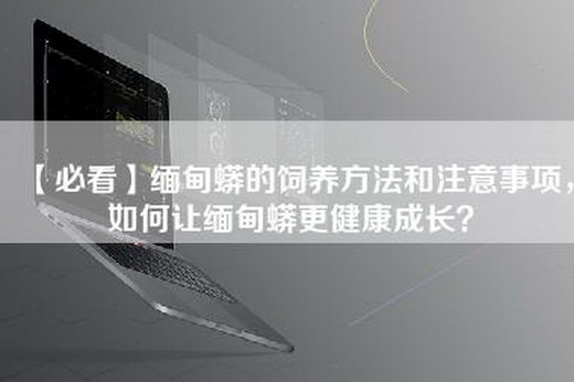 【必看】缅甸蟒的饲养方法和注意事项，如何让缅甸蟒更健康成长？