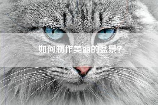 如何制作美丽的盆景？