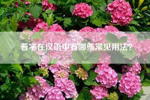 着字在汉语中有哪些常见用法？