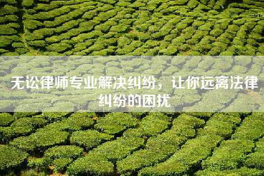 无讼律师专业解决纠纷，让你远离法律纠纷的困扰