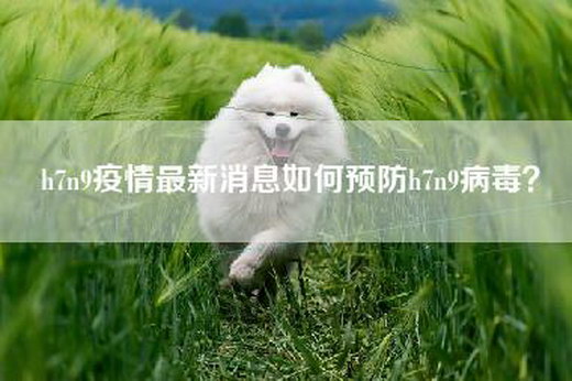 h7n9疫情最新消息如何预防h7n9病毒？