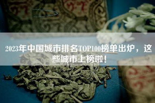 2023年中国城市排名TOP100榜单出炉，这些城市上榜啦！