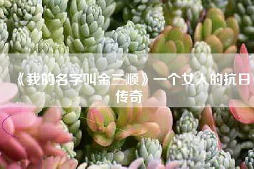 《我的名字叫金三顺》一个女人的抗日传奇