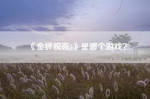 《金蝉脱壳3》是哪个游戏？