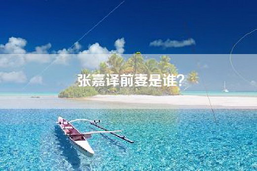 张嘉译前妻是谁？