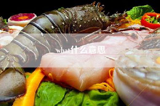 what什么意思