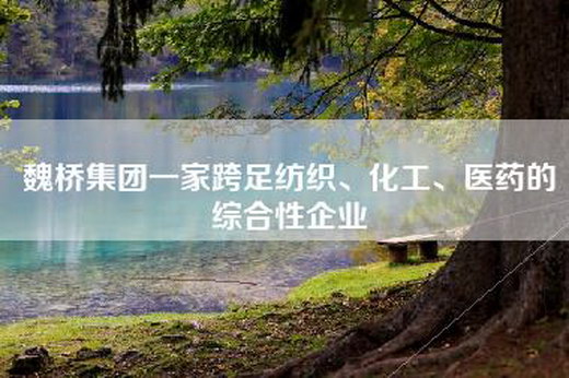 魏桥集团一家跨足纺织、化工、医药的综合性企业