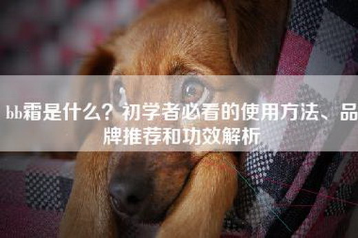 bb霜是什么？初学者必看的使用方法、品牌推荐和功效解析