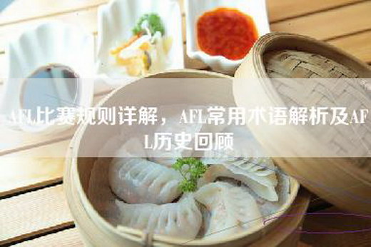 AFL比赛规则详解，AFL常用术语解析及AFL历史回顾