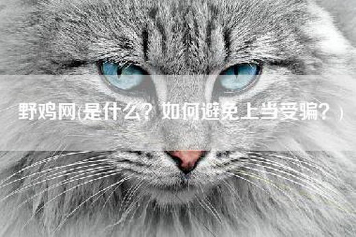 野鸡网(是什么？如何避免上当受骗？)