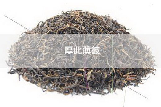 厚此薄彼