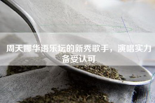 周天娜华语乐坛的新秀歌手，演唱实力备受认可