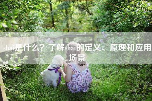 shai是什么？了解shai的定义、原理和应用场景
